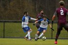 MSoc vs Springfield  Men’s Soccer vs Springfield College. : Wheaton, MSoccer, MSoc, Men’s Soccer